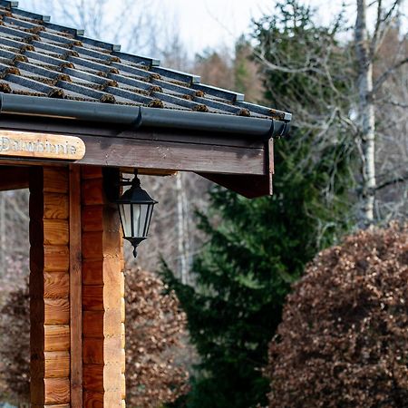 Loch Insh Chalets Ltd كينغكرايغ المظهر الخارجي الصورة